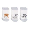 Little Paws Boxed Set Of 3 Bamboo Kids Crew Socks (0-6 Months, 6-12 Months) -Trendy Socks Store the sock shack baby socks little dalmation spaniel retriever bamboo flat wrendale little paws dog baby socks set 9037268 600